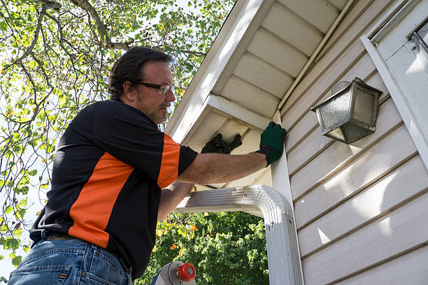 Best Siding Painting and Refinishing  in Dumont, NJ